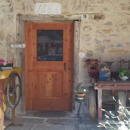 Casa 1885 Bed & Breakfast Belluno Dış mekan fotoğraf