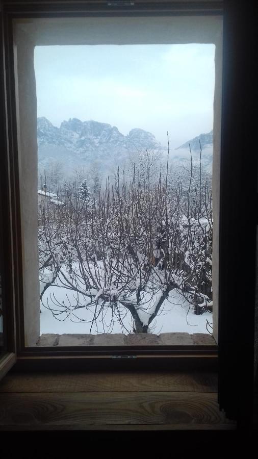 Casa 1885 Bed & Breakfast Belluno Dış mekan fotoğraf