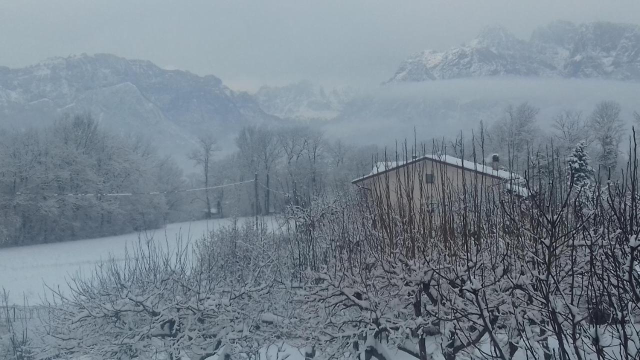 Casa 1885 Bed & Breakfast Belluno Dış mekan fotoğraf