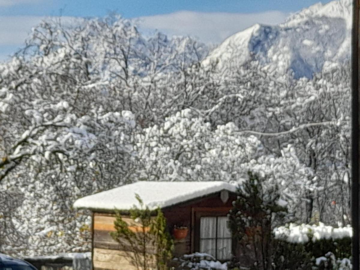 Casa 1885 Bed & Breakfast Belluno Dış mekan fotoğraf
